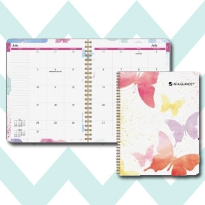 Day Runner 791800G Watercolors Planner