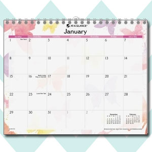 Day Runner Watercolors Monthly Wall Calendar