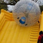 IMG_0524