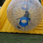 IMG_0526