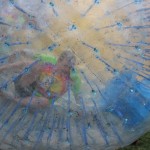 IMG_0531
