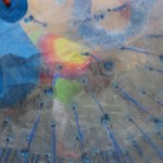 IMG_0534