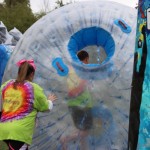 IMG_0537