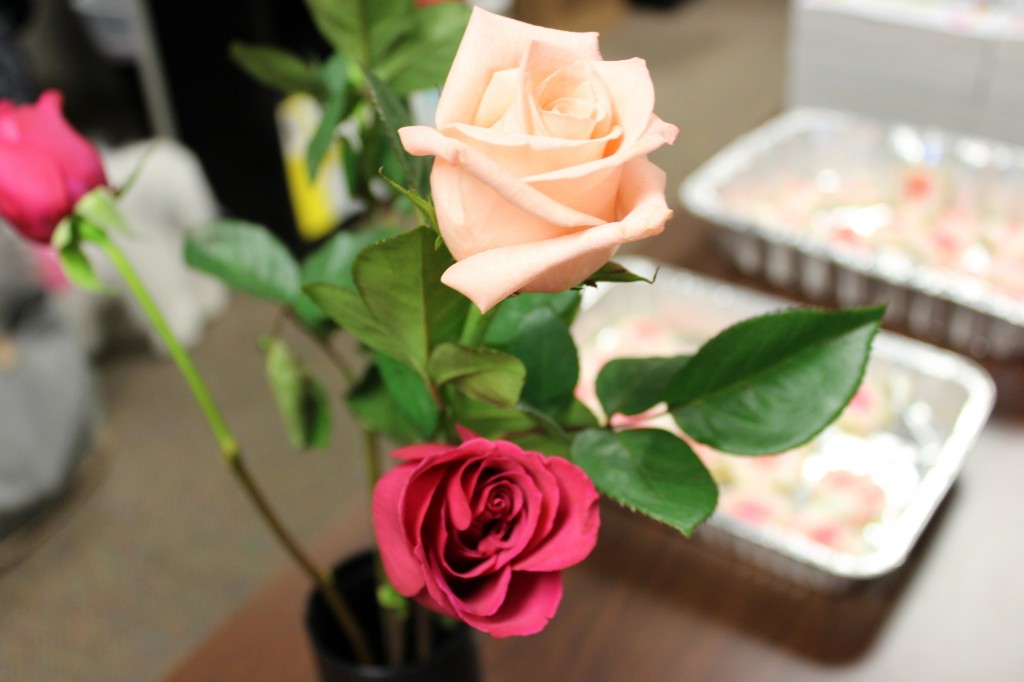 roses