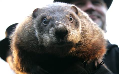 Groundhog