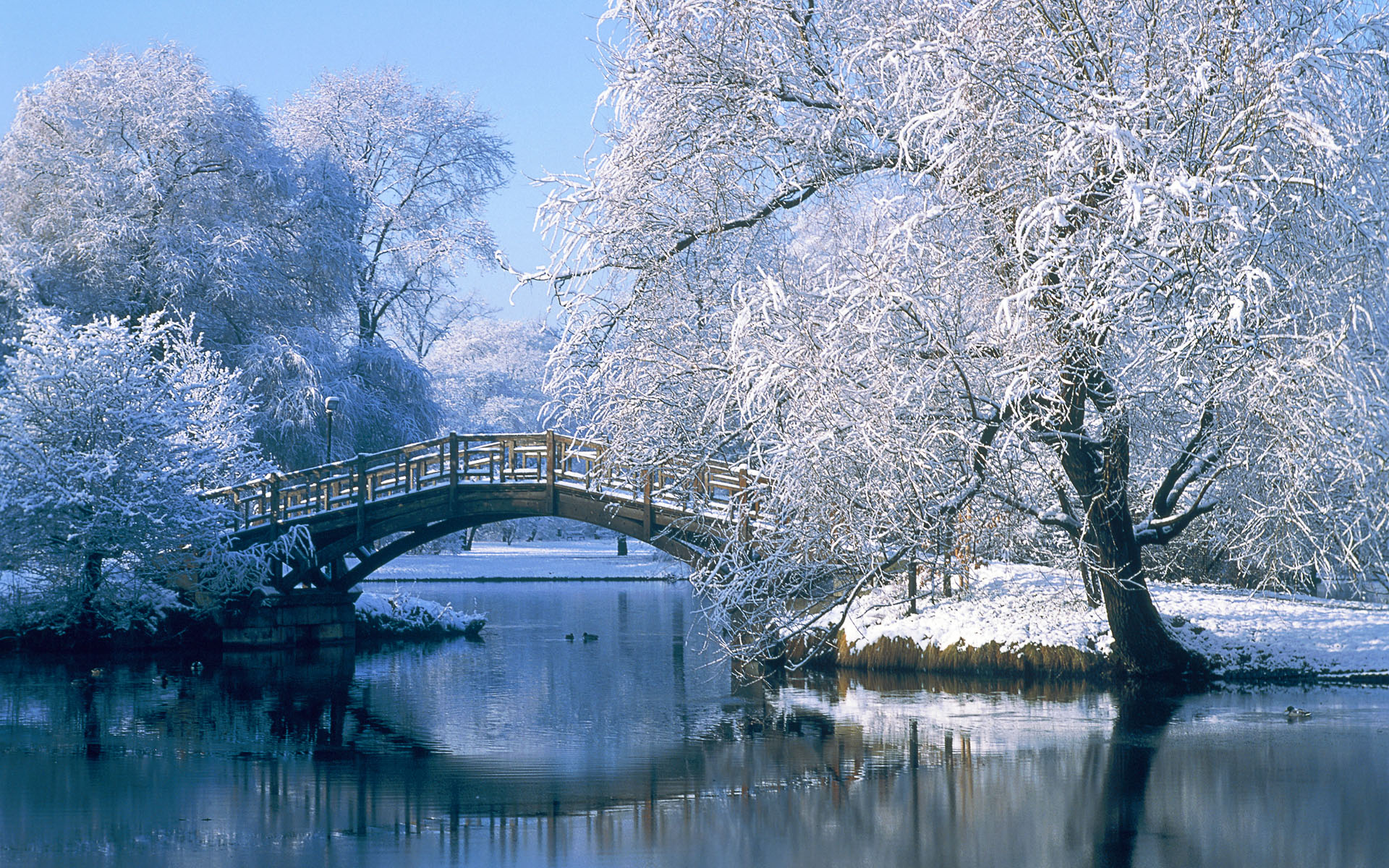 Snow