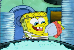 sponge 
