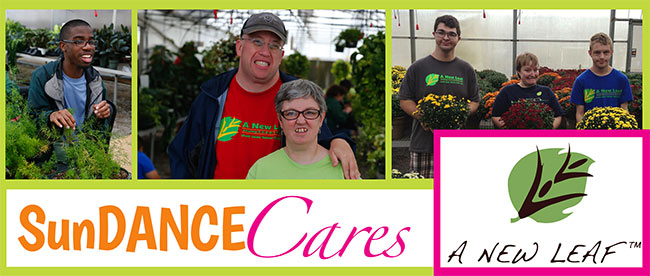 SunDANCE Cares: a new leaf